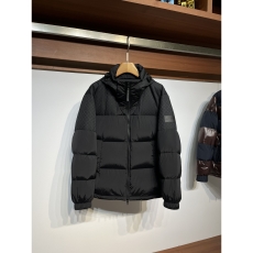 Louis Vuitton Down Jackets